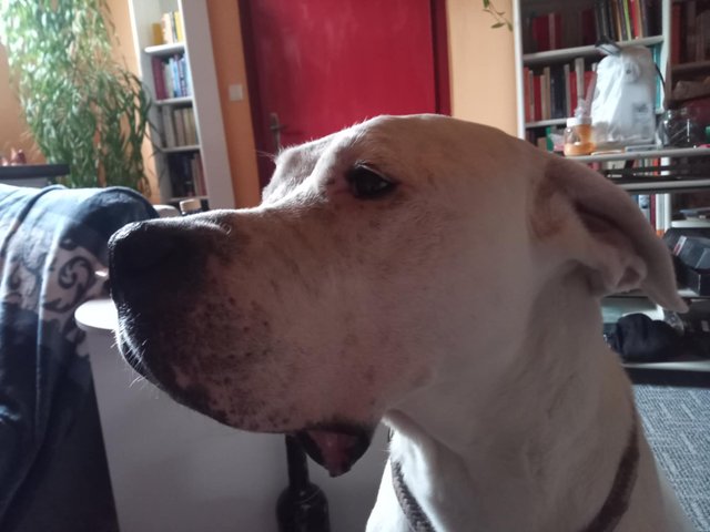 mLELtx5Q.jpeg