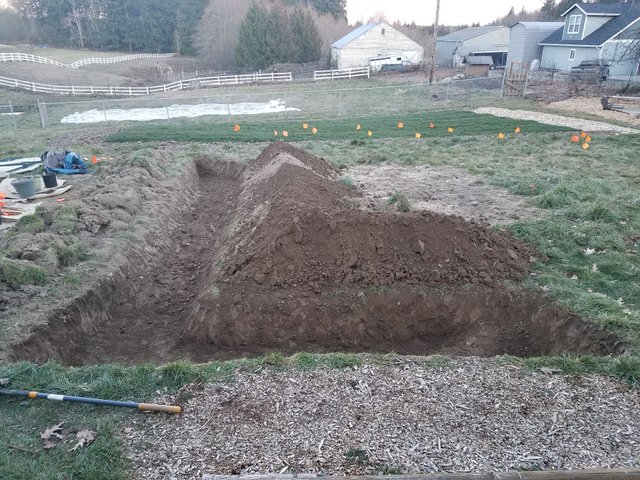new-garden-bed-dug.jpg