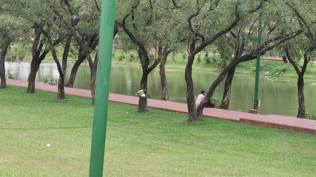 IMG_20240526_114831.jpg