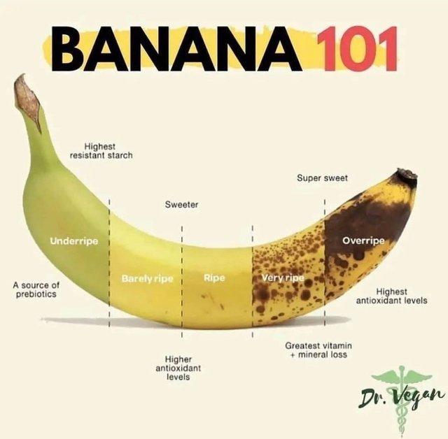 evolution-of-a-banana-image-e1670444985717.jpg