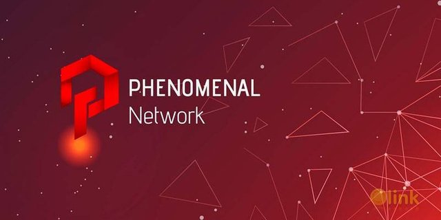1416_ico-phenomenal-network_thb.jpg
