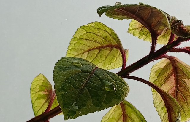 20250805_165001.jpg