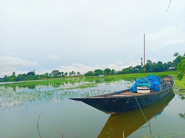 IMG_20250802_201313.jpg