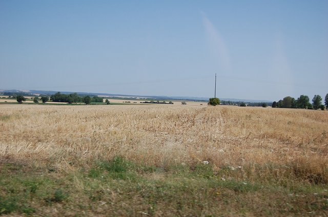 k-DSC_0057.JPG
