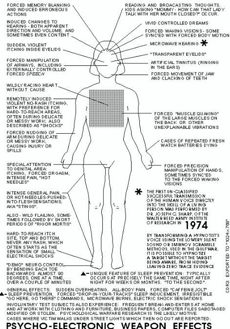 body diagram copy.jpg