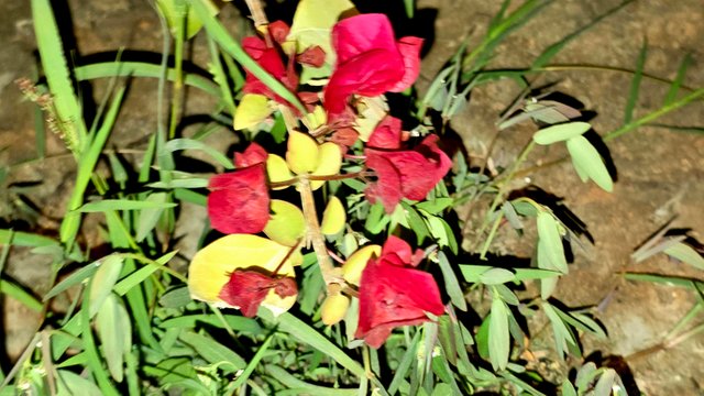 20250214_021222.jpg