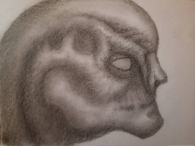 20250428_113630.jpg