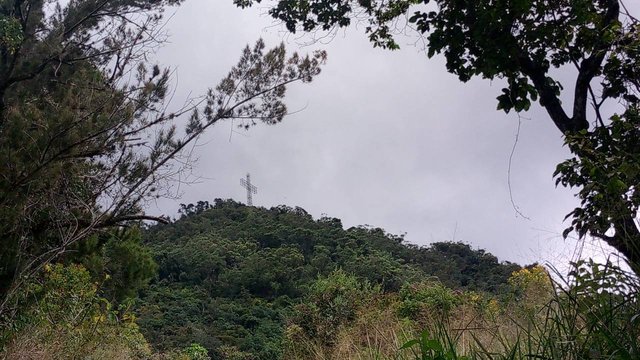 IMG_20241219_121506_912.jpg