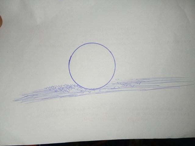 1000445594.jpg