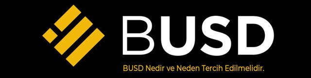 busd nedir.jpg