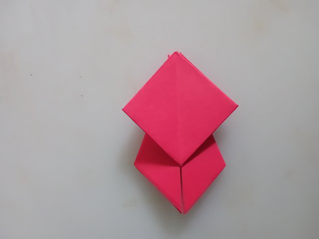 1000042544.jpg