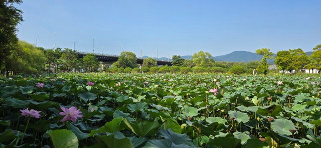 KakaoTalk_20240816_230115703_13.jpg