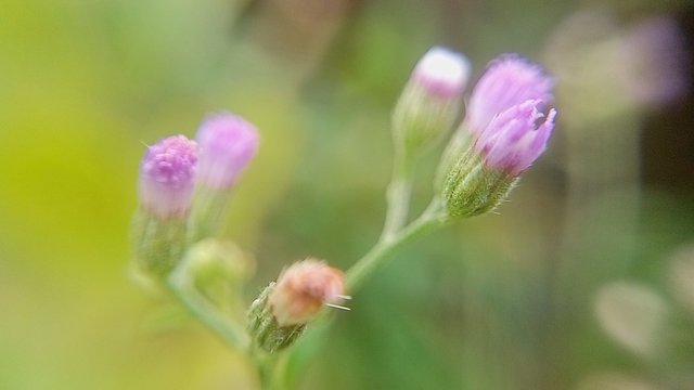 IMG20250720160507.jpg