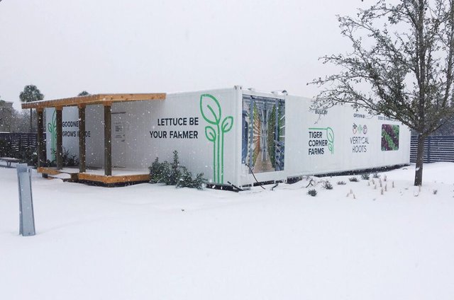 Snow_Container-1080x716.jpg