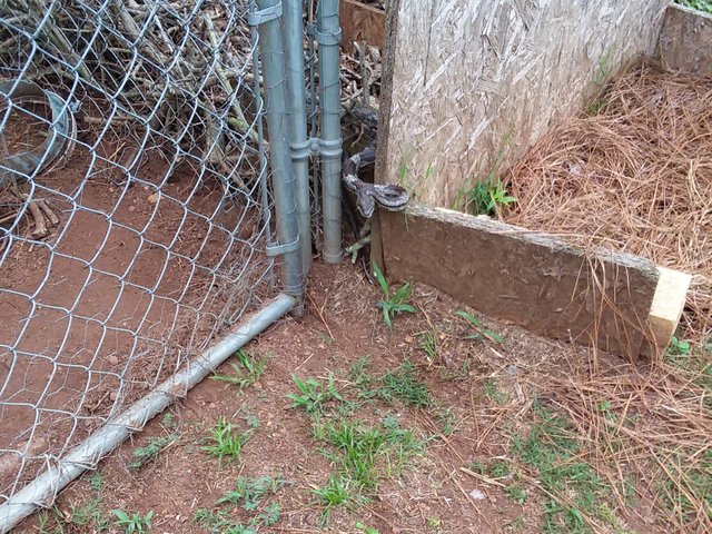 20180524_133202 (2).jpg