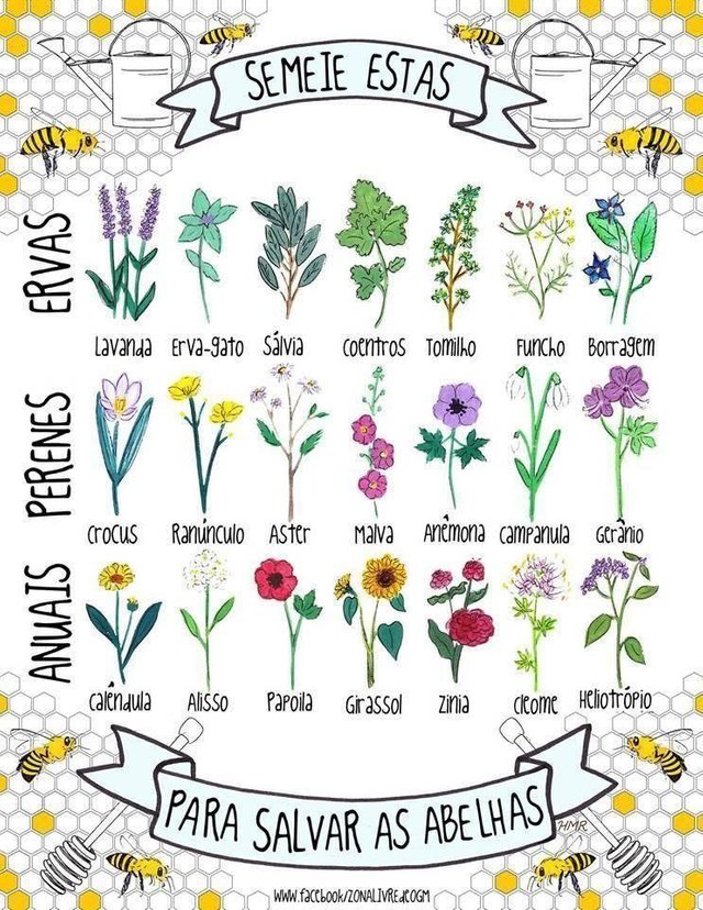 plantas-abelhas.jpg
