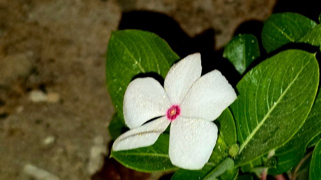 20241210_021828.jpg