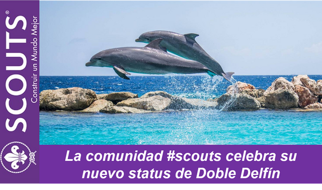 Doble Delfin Scouts.png