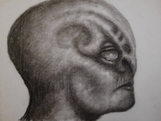 20250620_110626.jpg