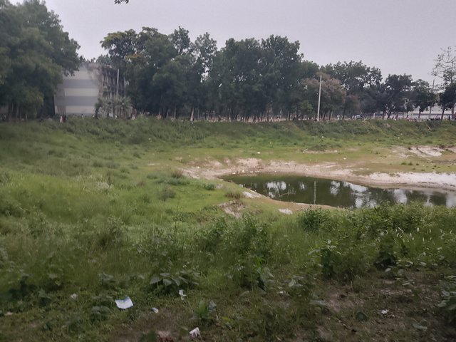 1000038020.jpg