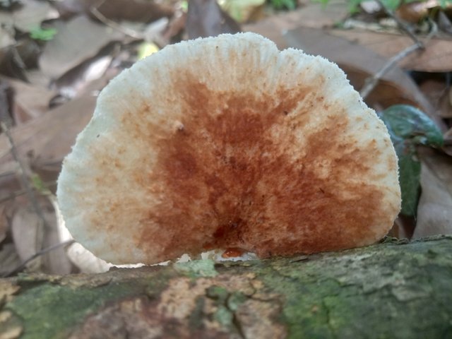 IMG20220306141626.jpg