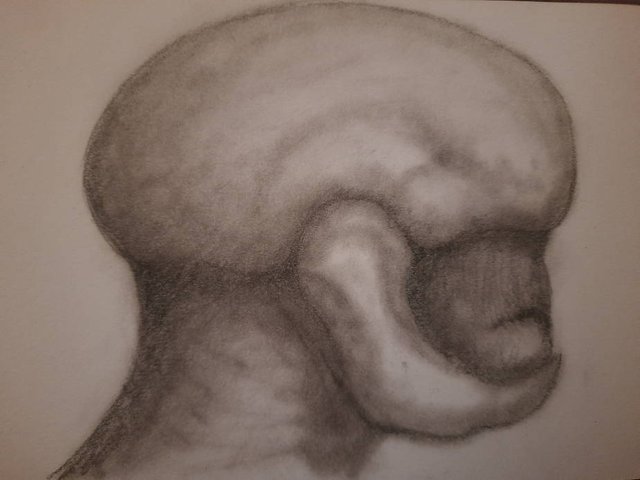 20250818_111212.jpg