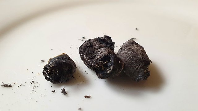 shilajit test to see if it is fake results.jpg