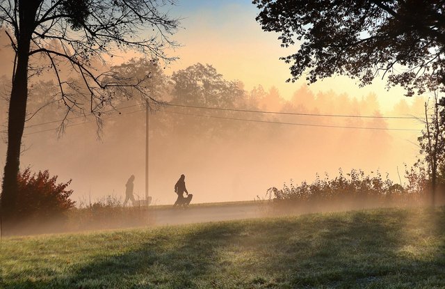 sunrise-6759987_1280.jpg