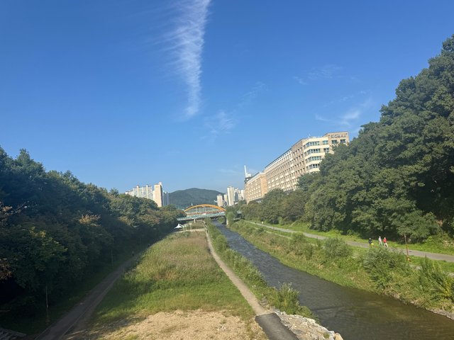 IMG_0031.jpeg