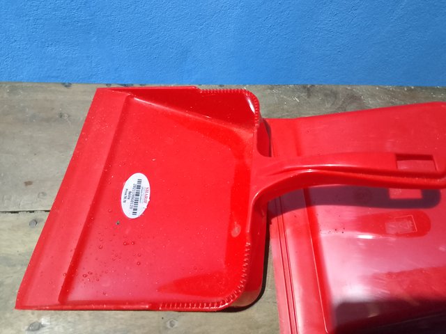 1000047373.jpg
