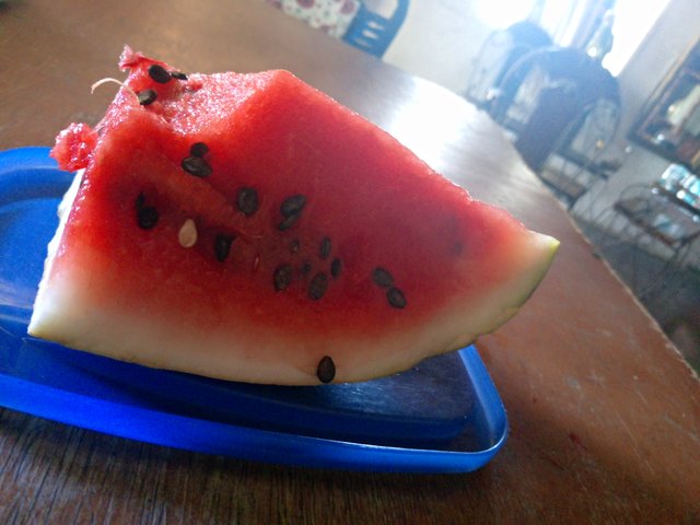 IMG_20230802_112141_199.jpg