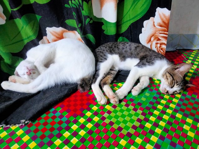 IMG20250731231003.jpg