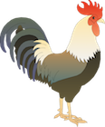 Chicken vector Badge Right.png