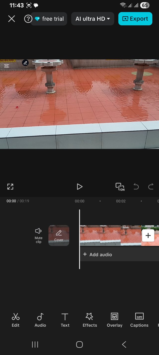 1000039004.jpg