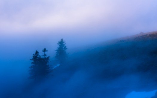 foggy_morning-t2.jpg