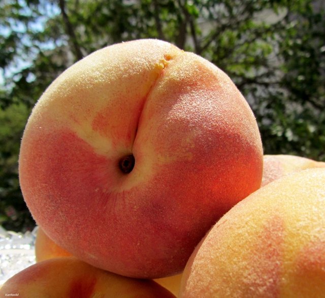 Peaches (Large).JPG