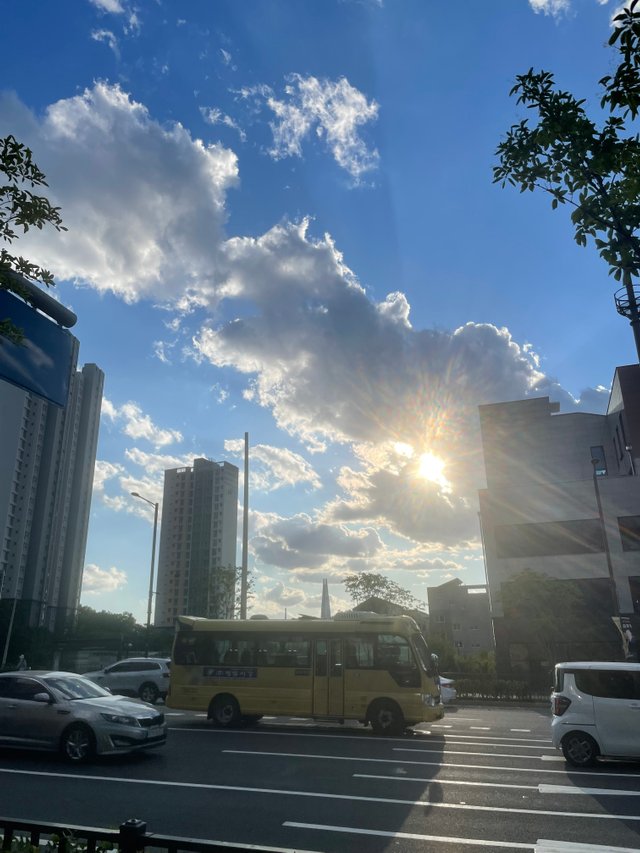 IMG_5808.jpeg