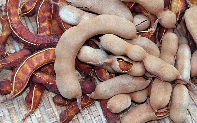 Tamarind new.jpg
