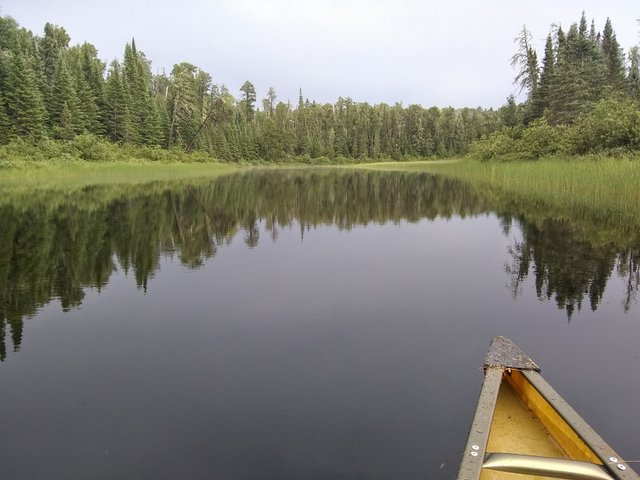 Quetico Canoe 20.jpg