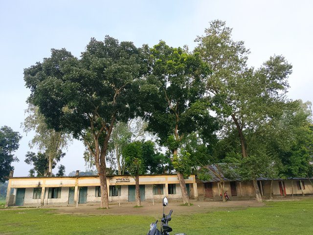 1000049082.jpg