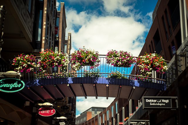 25-06-2018-straatfotografie-06521.jpg