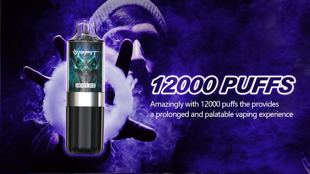 China Brand Vape 12000 Puffs Rechargeable Vape best vape kit for clouds.jpg