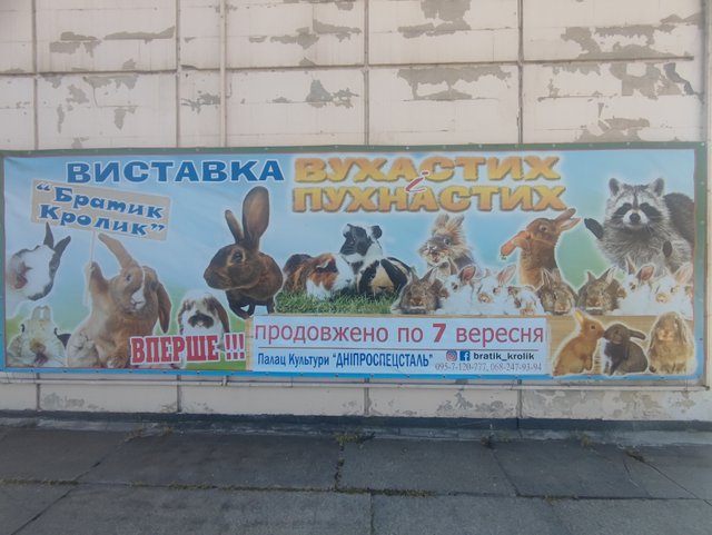 1000324216.jpg