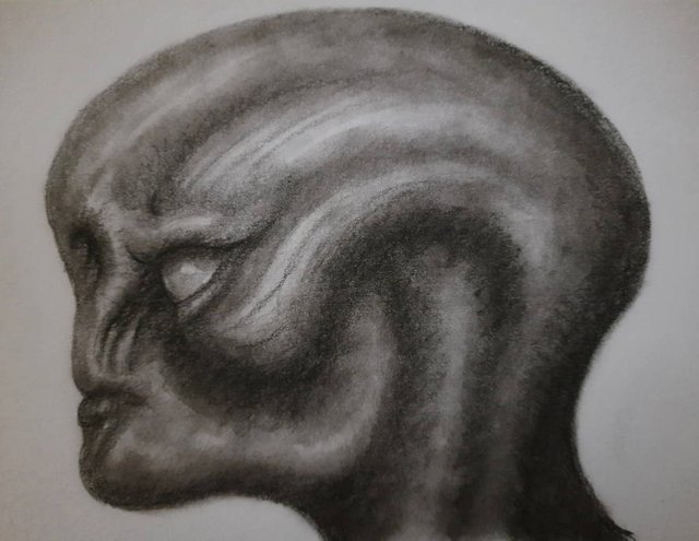 20250807_112639.jpg
