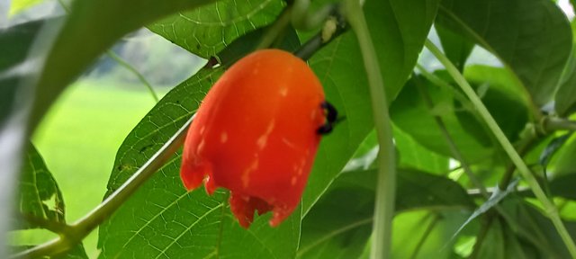20220926_101221.jpg