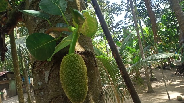 IMG20250604120917.jpg