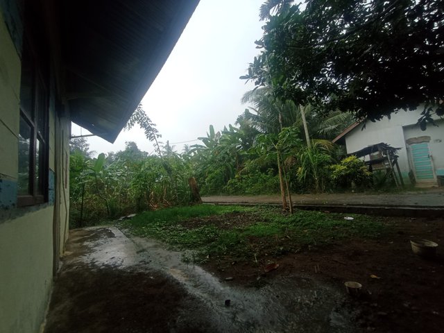 IMG_20250622_161332.jpg