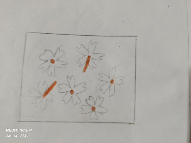 1000000362.jpg