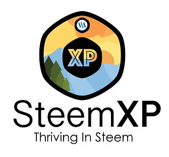 steem-xperience-color-outlines 1.png