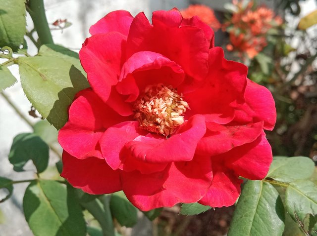 IMG_20250722_195651.jpg